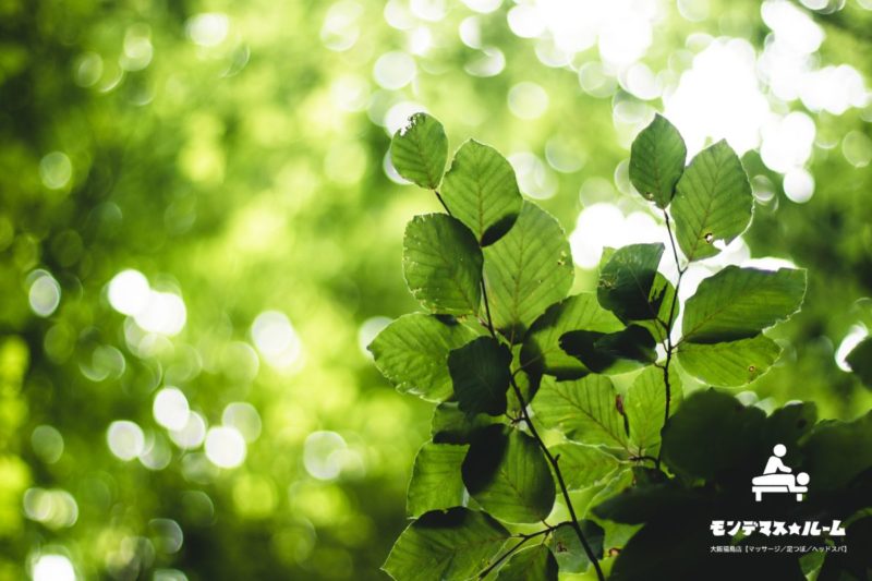 新緑の自然と光のイメージ｜リラックス空間 大阪市福島区のマッサージ モンデマス★ルーム大阪福島店【マッサージ／足つぼ／ヘッドスパ】